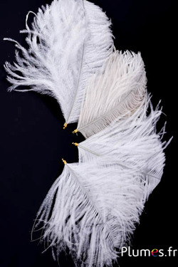 Hanger struisvogelhoofd - 17-20 cm - wit-crème